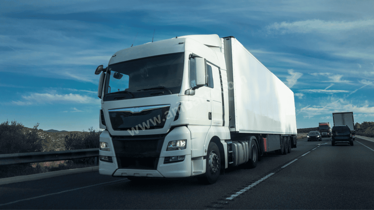 Keşap Şehirler Arası Taşıma